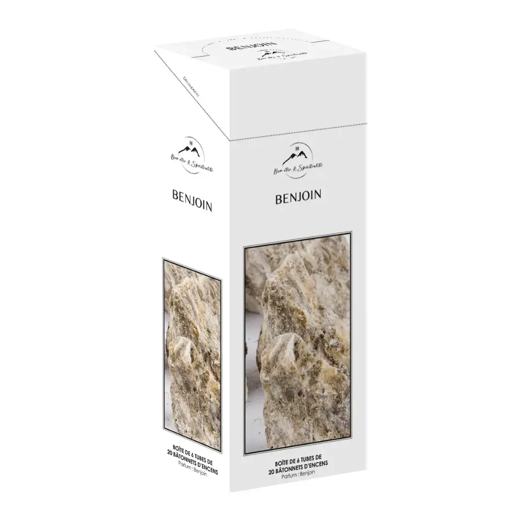TUBE DE 20 BATONNETS D'ENCENS PARFUM BENJOIN