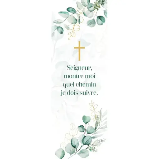 [3700318934659] SIGNET "SEIGNEUR MONTRE MOI QUEL CHEMIN JE DOIS SUIVRE"