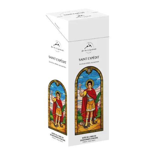[3700344871690] TUBE DE 20 BATONNETS D'ENCENS DE SAINT EXPEDIT PARDUM PATCHOULI