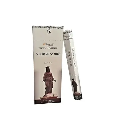 [3700344876626] TUBE DE 20 BÂTONNETS D'ENCENS "VIERGE NOIRE, PARFUM CANELLE"