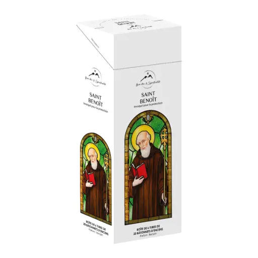 [8906088962655] BOITE DE 20 BATONNETS D'ENCENS SAINT BENOIT - PARFUM BENJOIN