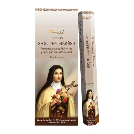 [9999900005639] TUBE DE 20 BATONNETS D'ENCENS "SAINTE THÉRÈSE, PARFUM ROSE ROUGE"